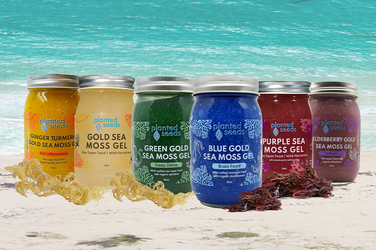 Which Sea Moss is Right for You?