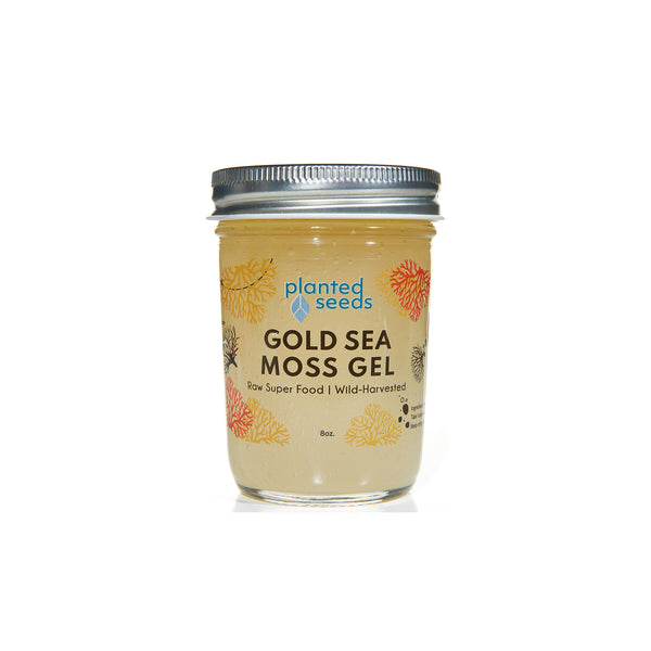 Gold Sea Moss Gel - 8oz Jar - Planted Seeds Sea Moss