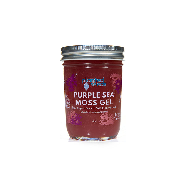 Purple Sea Moss Gel - 8oz Jar - Planted Seeds Sea Moss